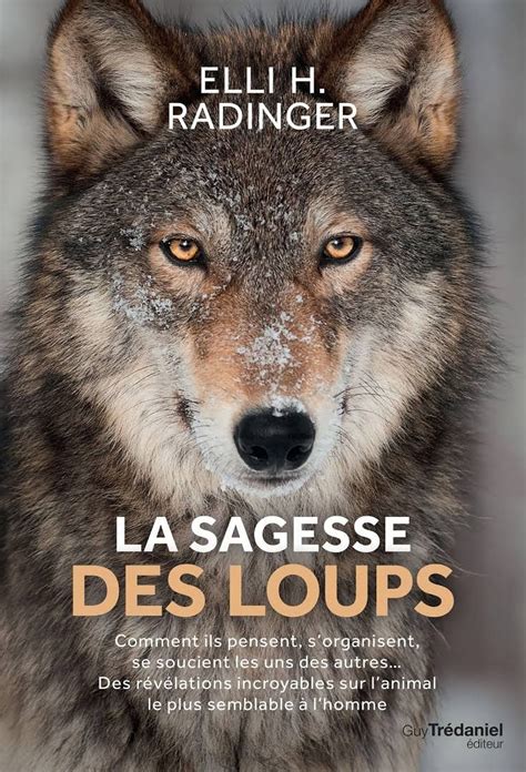 Elli H. Radinger: La sagesse des loups (Paperback, French language, 2018, Tredaniel La Maisnie)